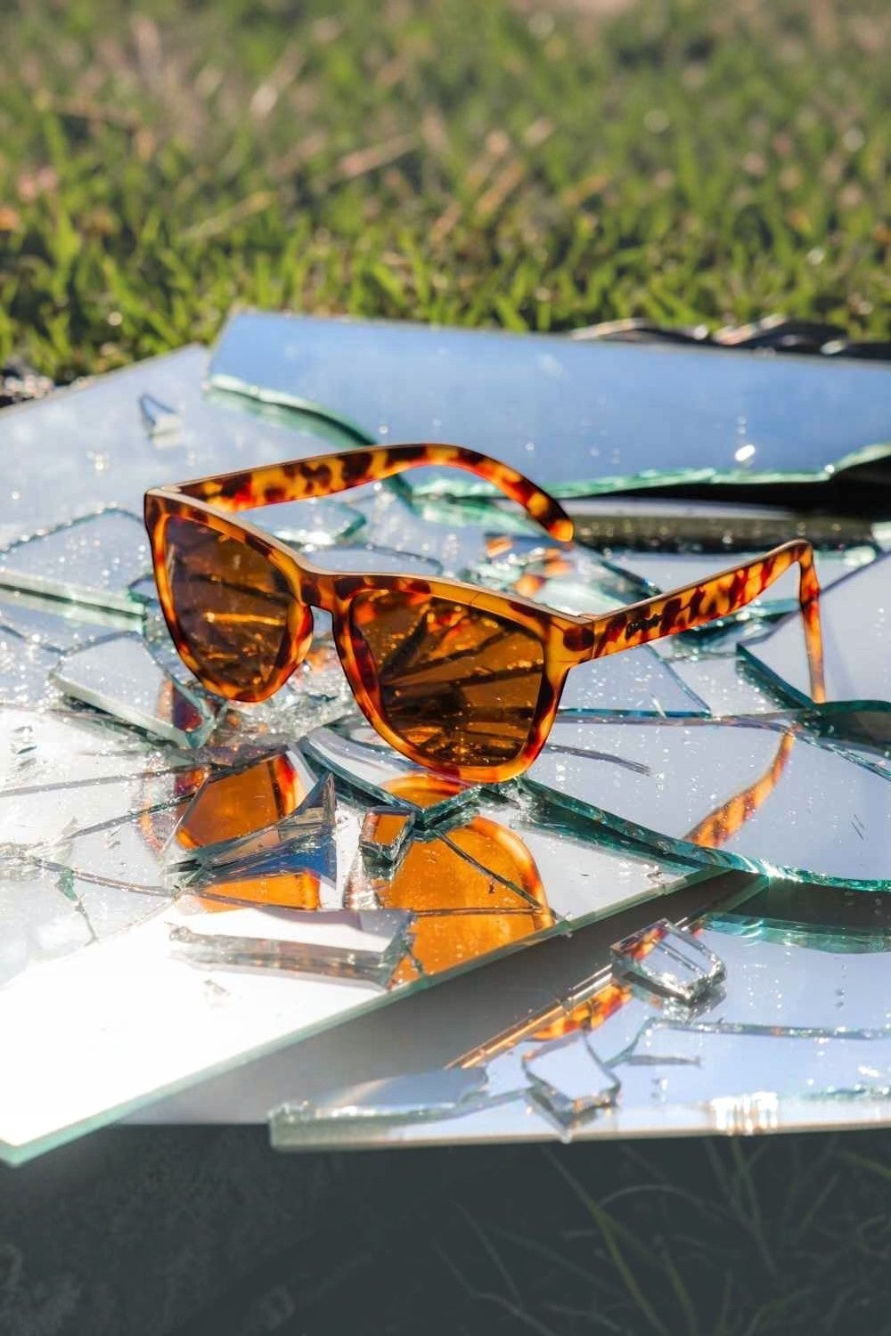 Óculos de sol SPORTBR Goodr Bosley’s Basset Hound Dreams com armação tartaruga e lentes marrons polarizadas.