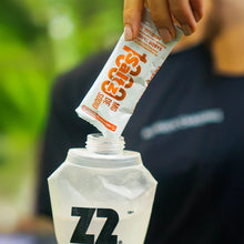 Sachê Saltz 1000 Z2 10g - Sabor Tangerina