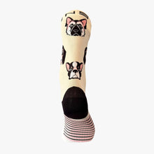 Meia Steigen Cano Alto - Dog