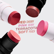 Blush All in One Terracota - Pink Cheeks 4.5g