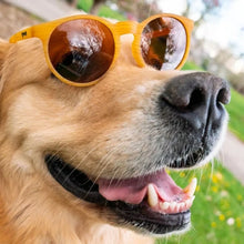 Óculos de Sol Goodr -  Bodhi’s Ultimate Ride