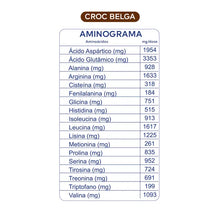 Caixa 10 sachês Proteínas Vegetais PROT 30g DOBRO - Croc Belga