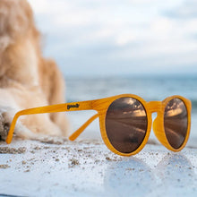 Óculos de sol Goodr Bodhi’s Ultimate Ride marrom, armação de propionato, lentes polarizadas com proteção UVA UVB.