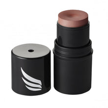 Blush All in One Terracota - Pink Cheeks 4.5g