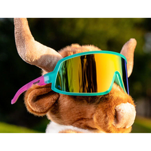 Óculos de Sol Goodr - Save a Bull, Ride a Rodea Clown